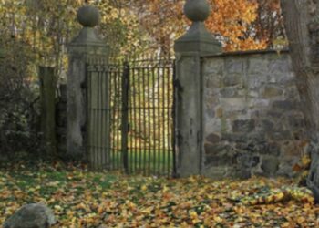 Le Pouvoir des Animaux: Comment Nos Amis à Fourrure Peuvent Améliorer Votre Vie