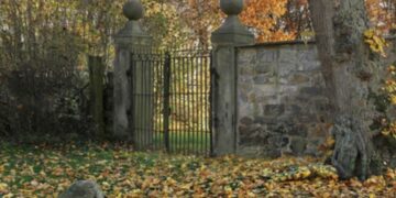 Le Pouvoir des Animaux: Comment Nos Amis à Fourrure Peuvent Améliorer Votre Vie